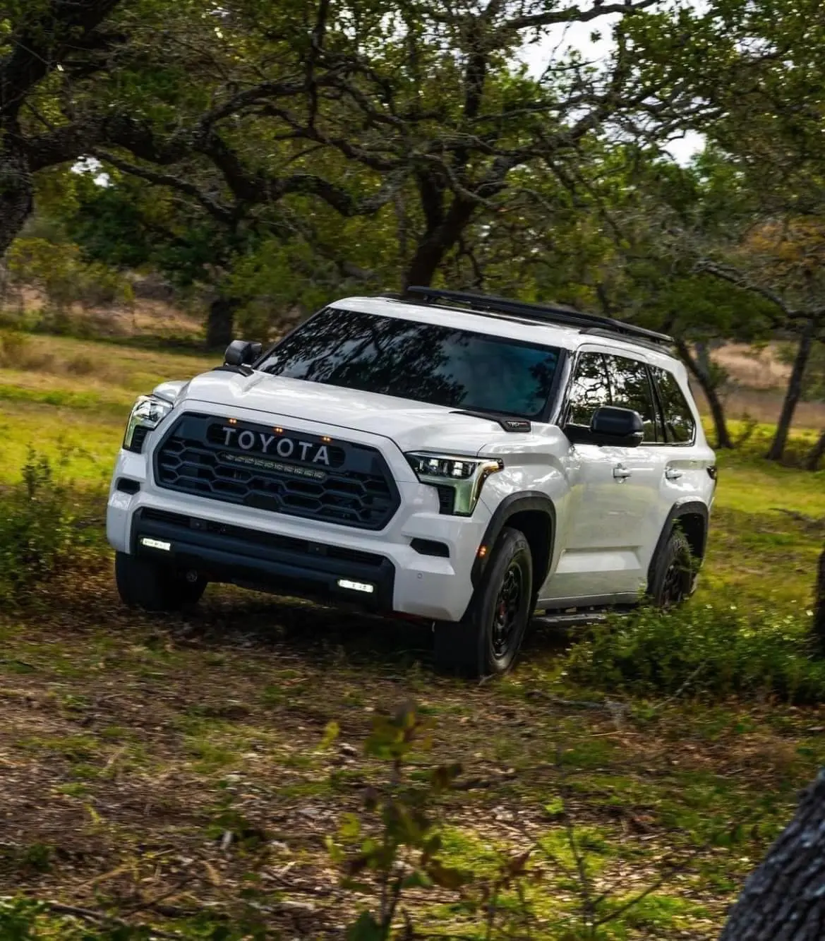 2022-ToyotaSequoia1.webp