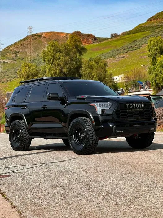 2023-black-out-sequoia-kleansequoia.webp